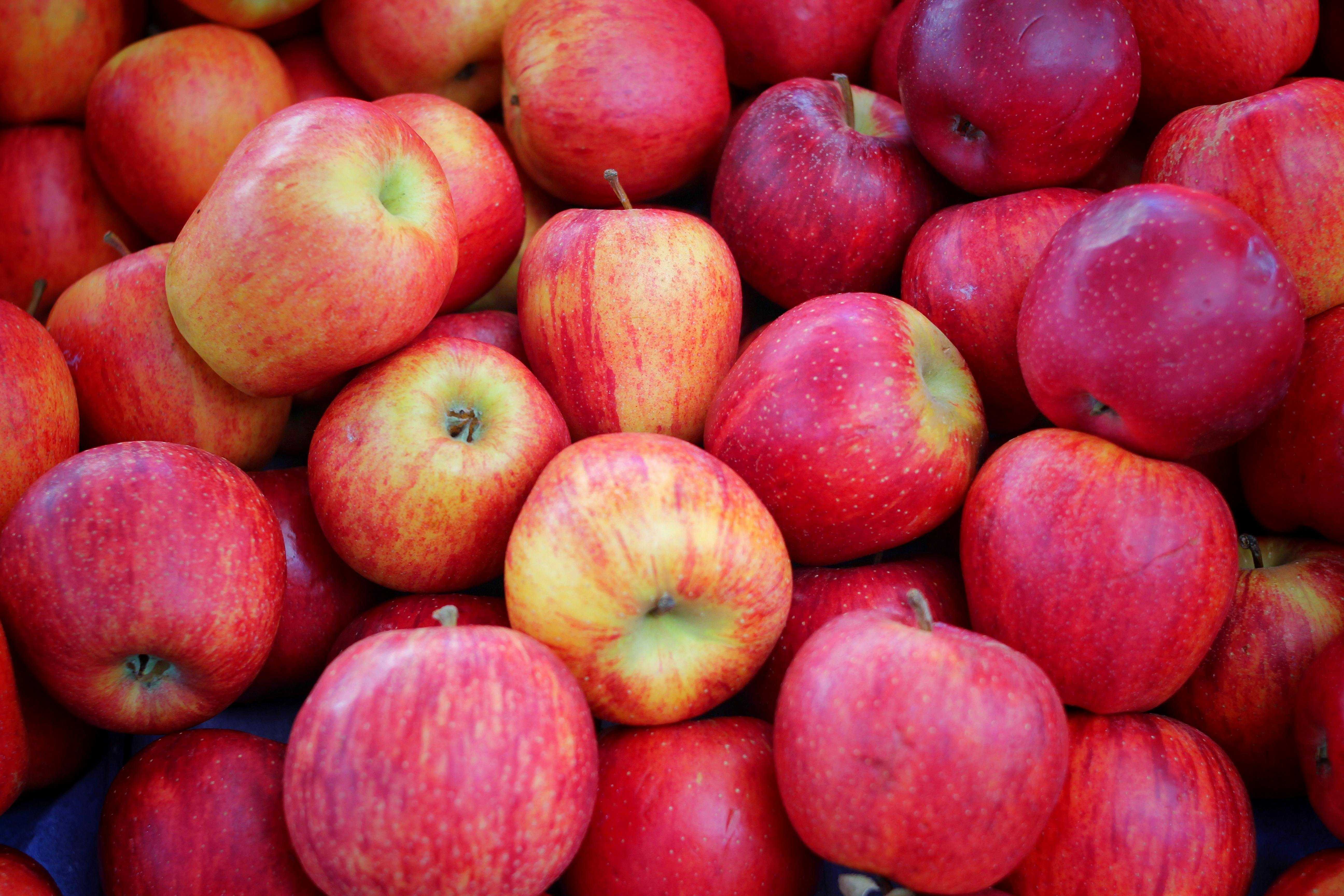 What happens if you eat an apple every day? A dietitian explains — WESH 2 Orlando, Winter Garden Health news