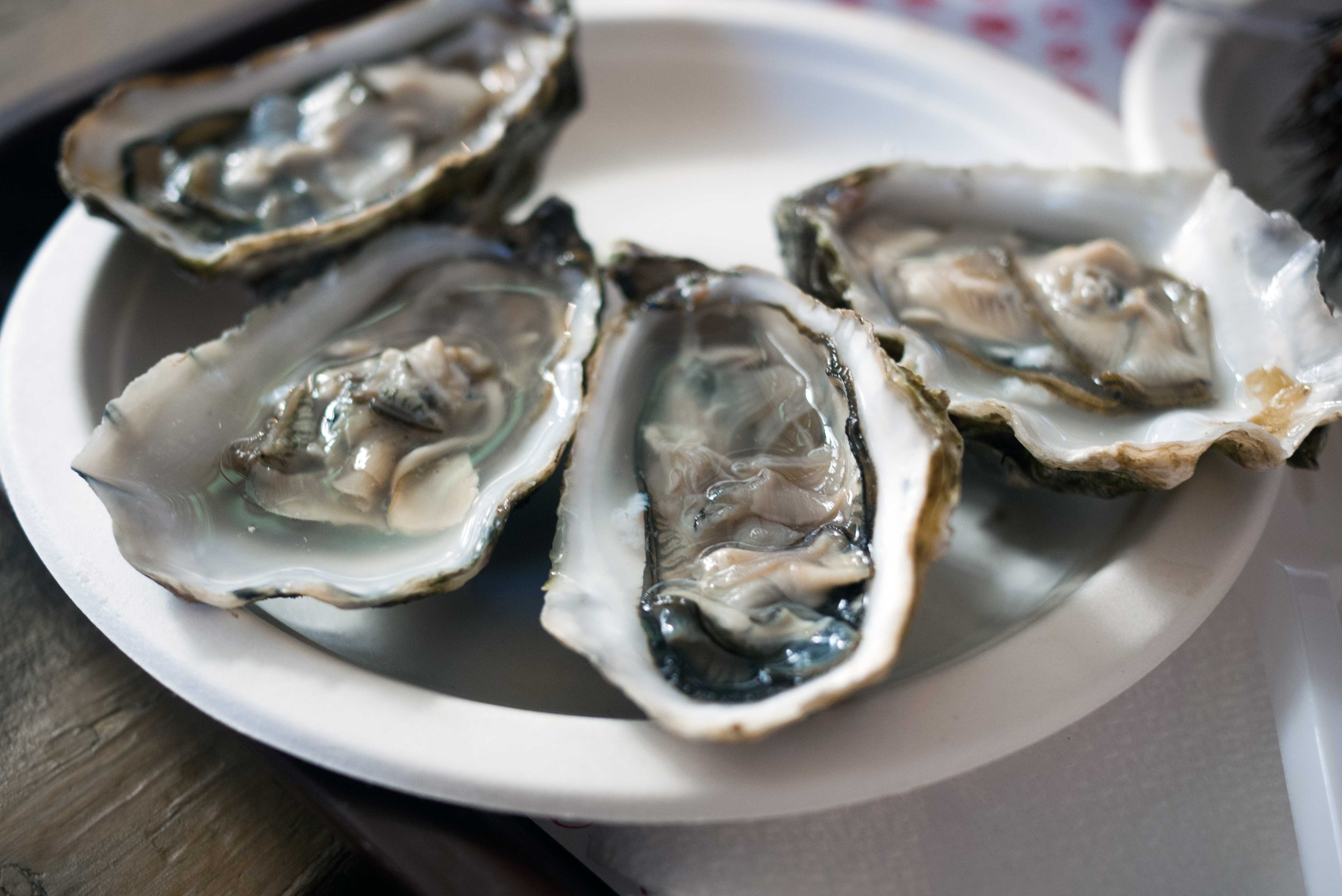 27 People Are Sick & 5 Hospitalized In A Multistate Raw Oyster Recall — WESH 2 Orlando, Winter Garden Dining news