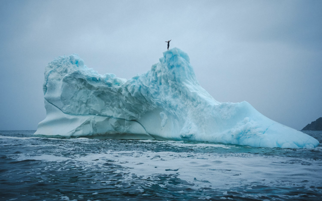 Cliff diver Molly Carson makes history, becomes first woman to dive off iceberg — WESH 2 Orlando, Winter Garden Community news