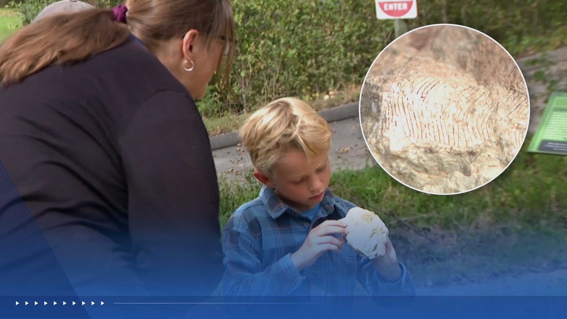 6-year-old fossil hunter makes rare discovery in Nebraska — WESH 2 Orlando