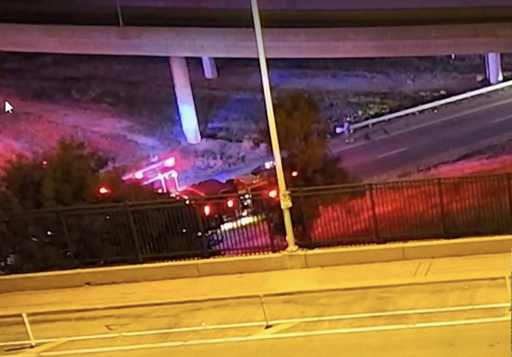 Cows roam downtown Kansas City after truck overturns, killing dozens of them — WESH 2 Orlando, Winter Garden Business news