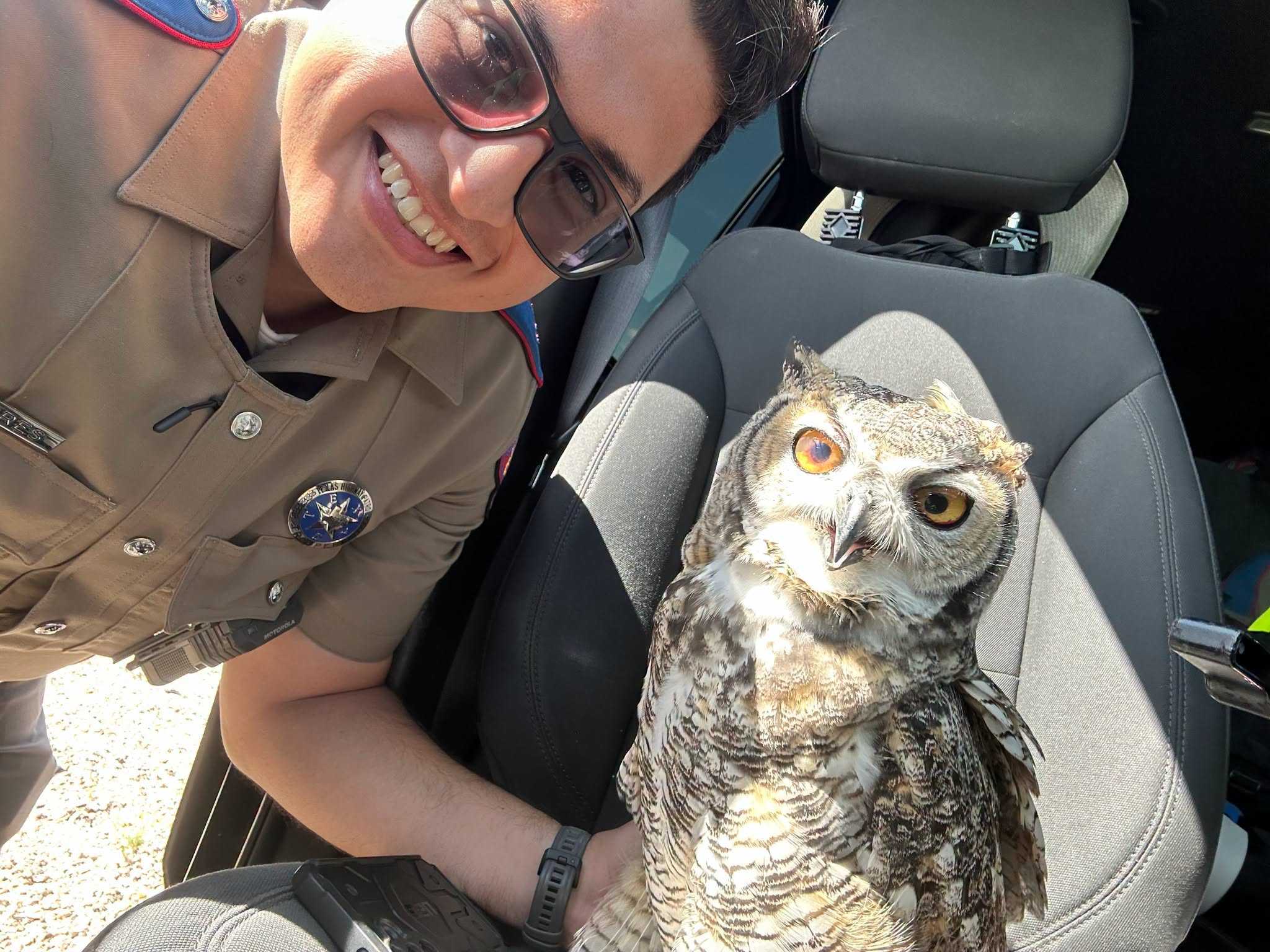 Injured owl poses for selfie with rescuers — WESH 2 Orlando