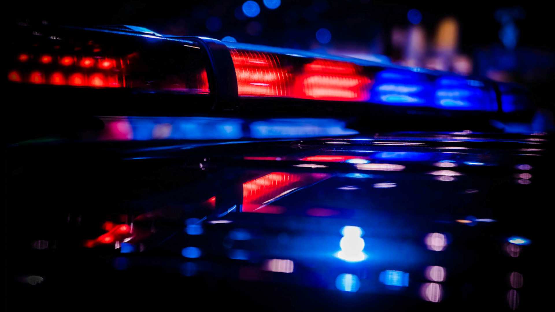 Orlando motorcyclist killed after hitting deer in Orange County, FHP says — WESH 2 Orlando