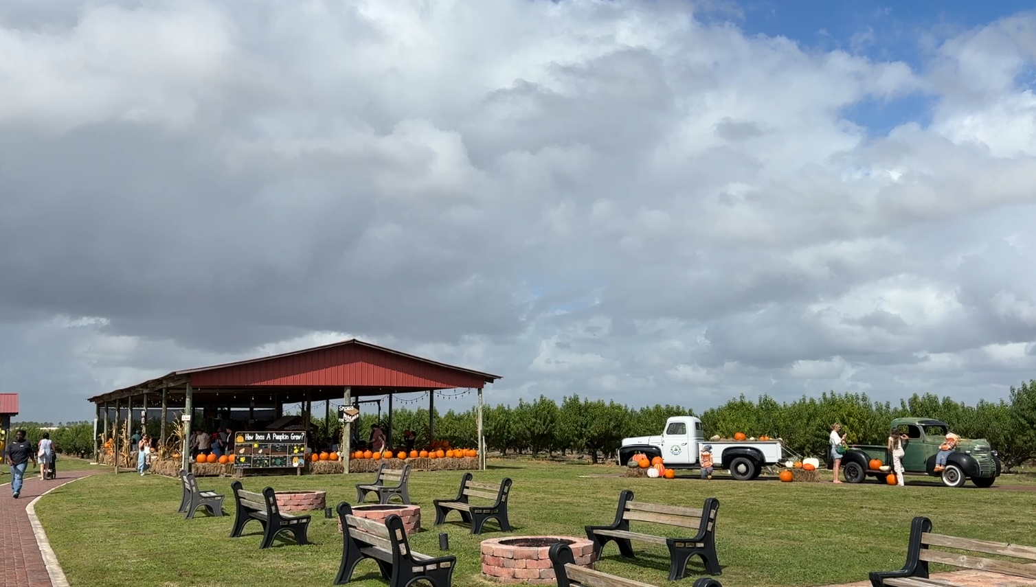 Southern Hill Farms hosts 11th annual fall festival in Clermont — Winter Garden Arts news