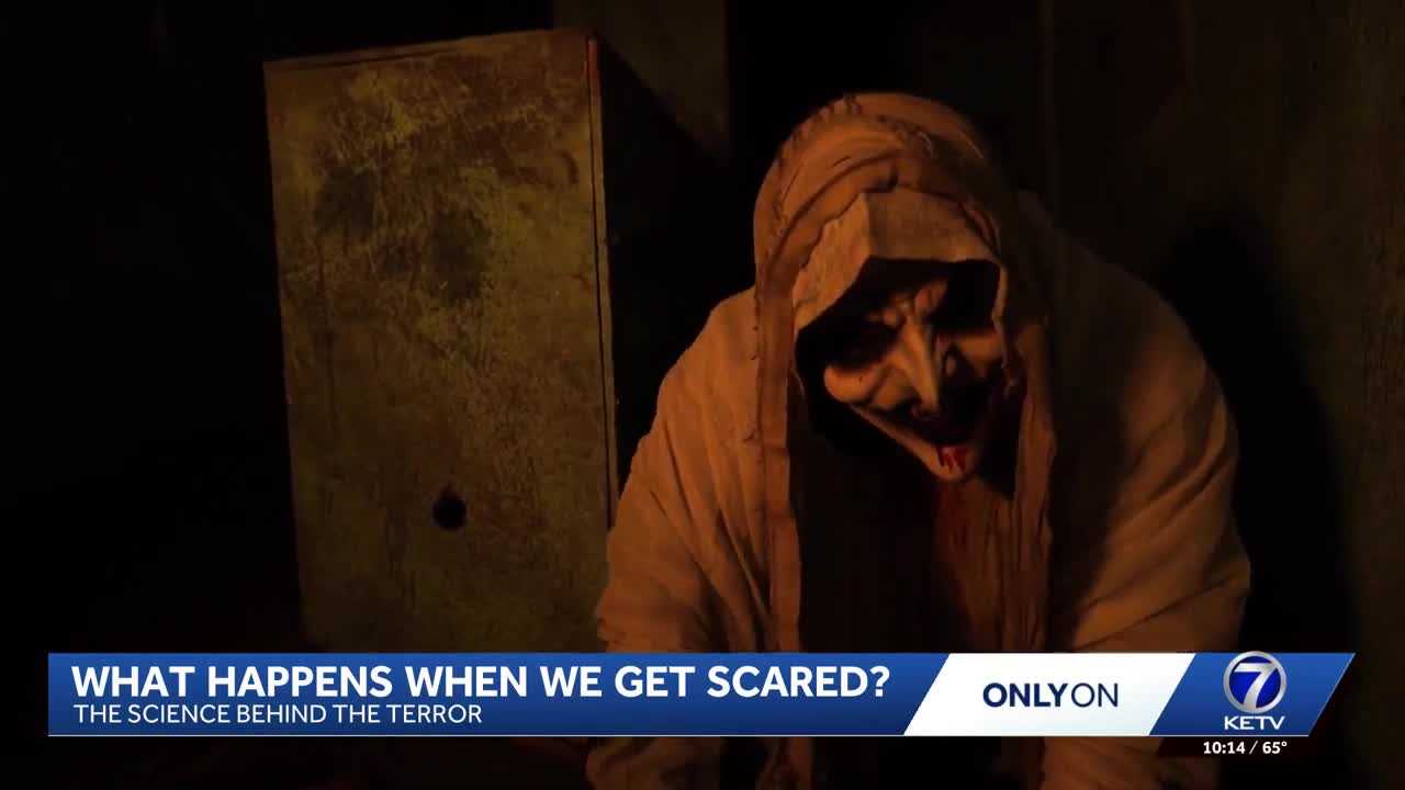 The science of being scared: What happens to your brain, body when fear strikes? — WESH 2 Orlando, Winter Garden Community news