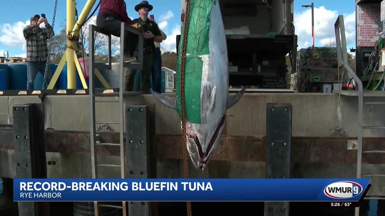 'Something that you dream of': 1,116-pound bluefin tuna catch sets a record — WESH 2 Orlando, Winter Garden Community news