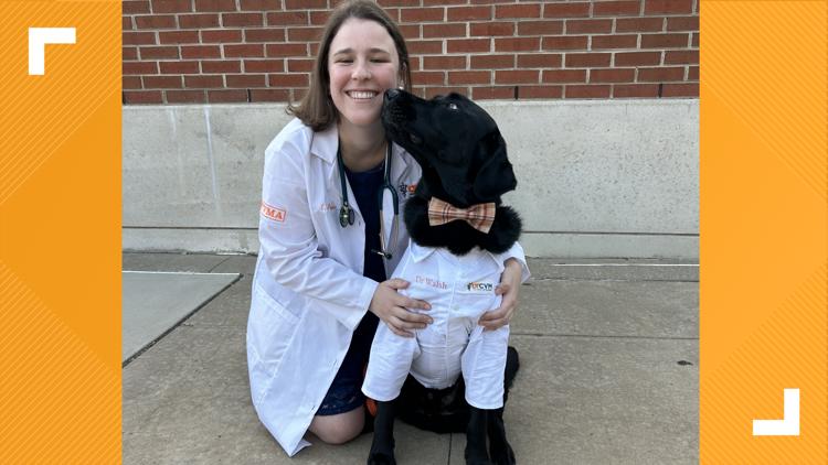 'Dogtor Walsh' reports for duty on the UT campus — KENS 5 (San Antonio), Winter Garden Schools news